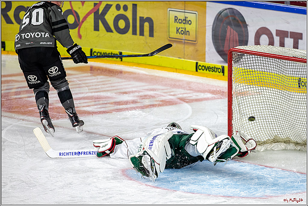 DEL; Koelner Haie - Augsburger Panther, 14.11.2018
